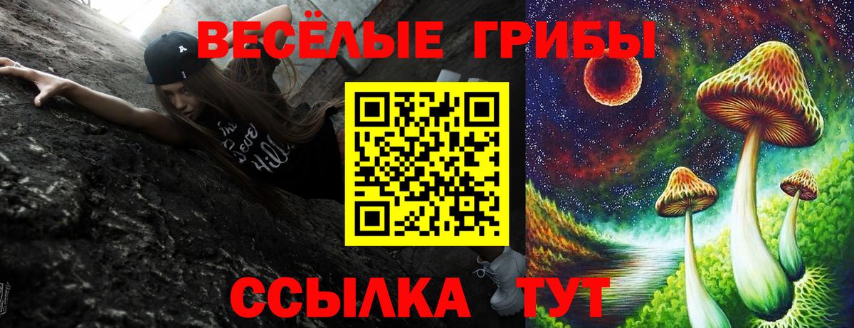 Галлюциногенные грибы ЛСД Иваново