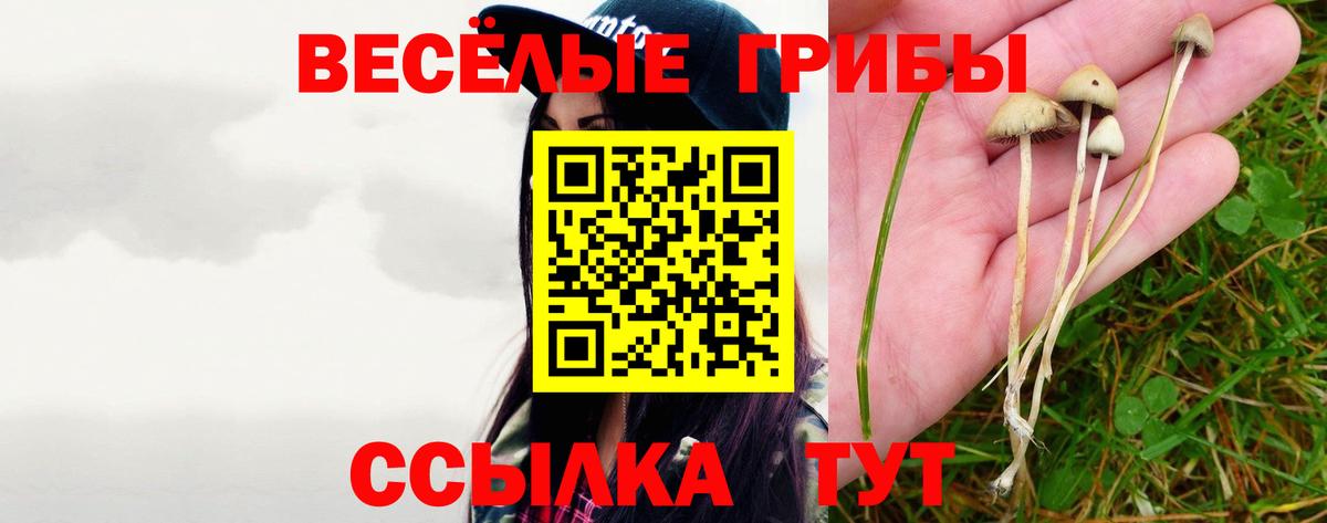 купить наркоту  Вход с VPN  Иваново  Галлюциногенные грибы ЛСД 